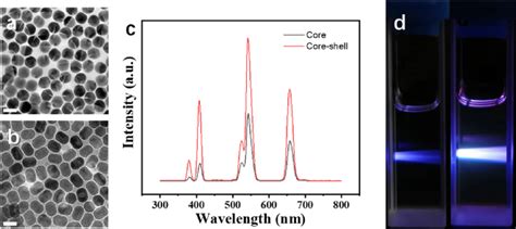 Physical Characterization Of UCNPs Used In The Study A B TEM Images