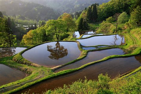 命めぐる究極の楽園。もしも水田が列島から消失してしまったら 季節・暮らしの話題 2021年04月28日 日本気象協会 Tenki Jp