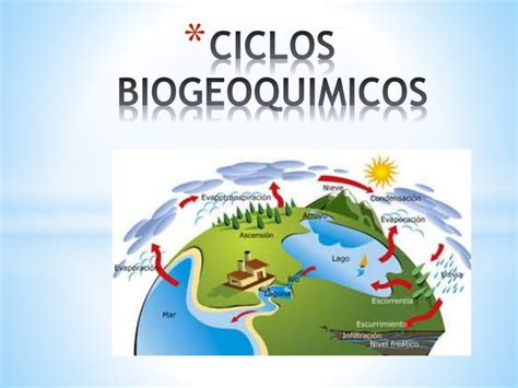 Ciclos Biogeoquimicos Ppt