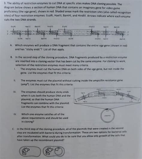 Solved 3. The ability of restriction enzymes to cut DNA at | Chegg.com 