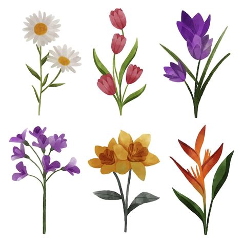 Premium Vector Watercolor Spring Flower Collection