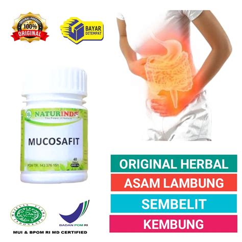 Jual Obat Maag Kronis Dan Gerd Asam Lambung Tinggi Nyeri Dada Ulu Hati