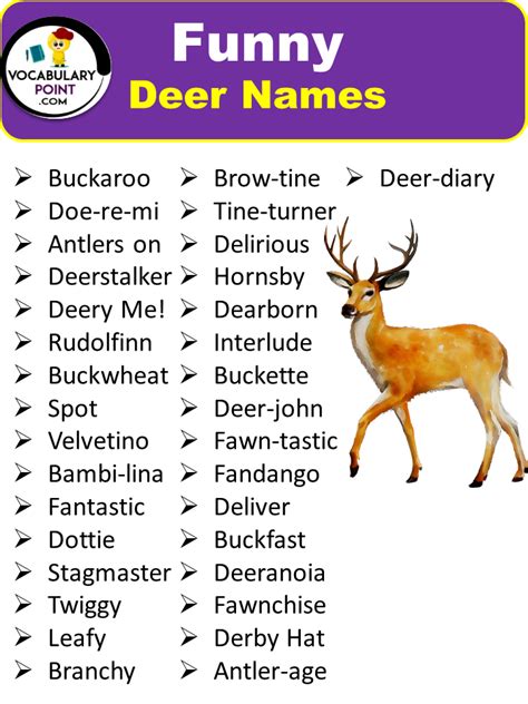 Best Deer Names Pet Cute Cool Vocabulary Point