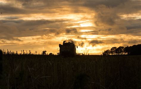 Lexion Hamp Harvest Elie Wagner Flickr