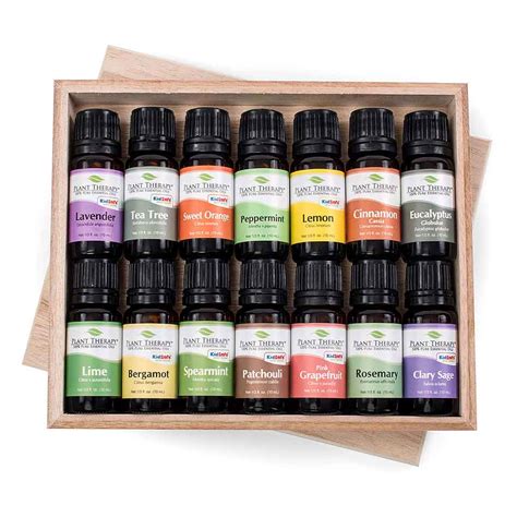 Top 14 Essential Oil Set Includes 100 Pure Oils 10 Ml Each