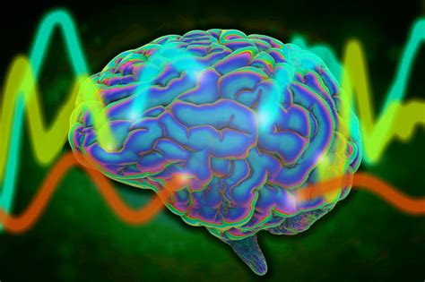 Study reveals a universal pattern of brain wave frequencies | Brain and ...