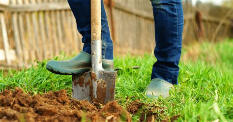 Digging Planting Archives Humid Garden