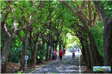 【台中景點】潭雅神綠園道～超夢幻的龍貓隧道！超優雅的s形天堂之路 Yahoo奇摩旅遊