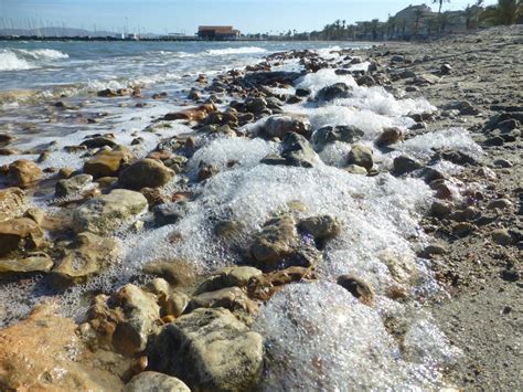 El Ieo Confirma El Riesgo De Nueva Anoxia En El Mar Menor