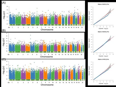 Differential Methylation Manhattan Plot And Qq Plot Of The