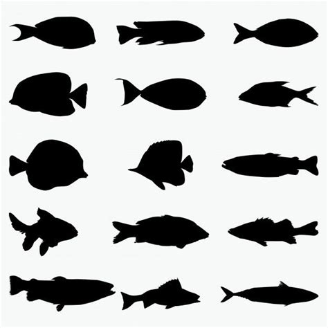 Fisch Silhouetten Premium Vektor Fish Silhouette Sillouette Art