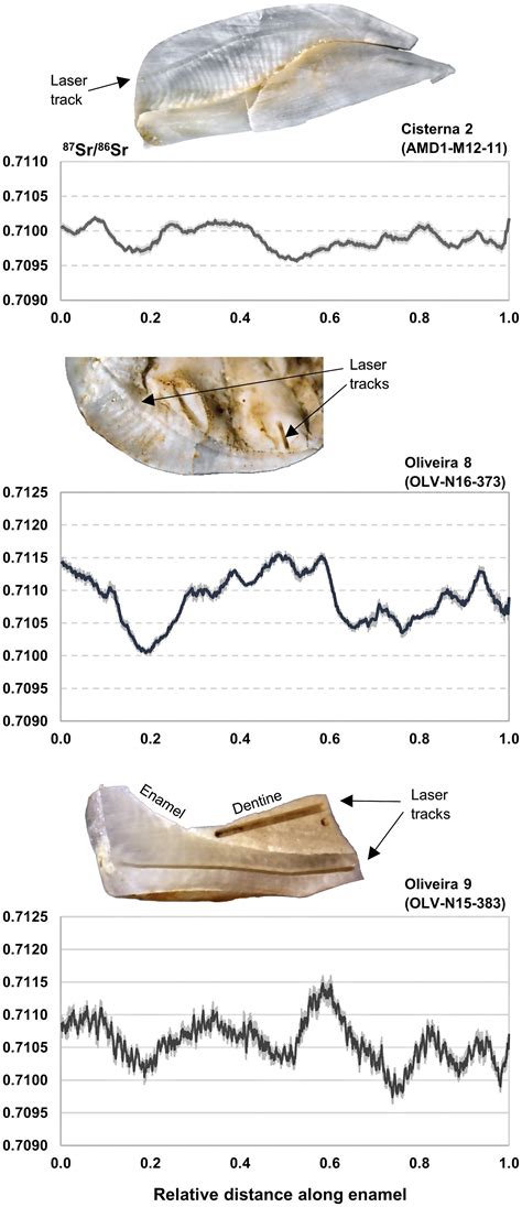 Reconstructing Middle And Upper Paleolithic Human Mobility In