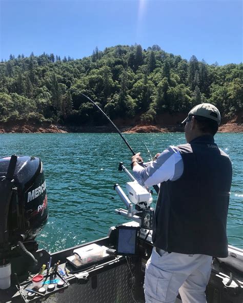 Shasta Lake Fish Report Shasta Lake Ca Shasta County