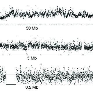 Variation in GC content at various scales. The GC content in subregions... | Download Scientific ...