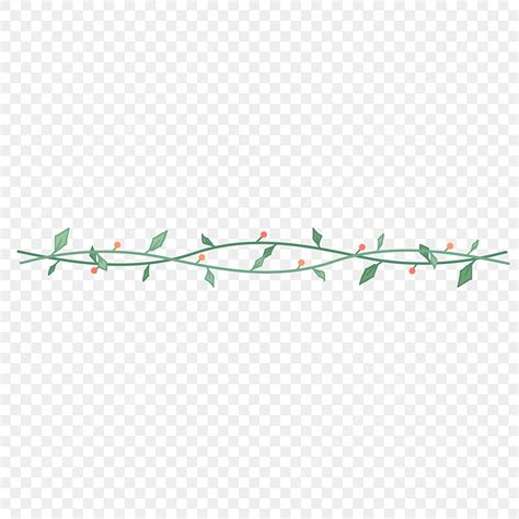 Hand Drawn Divider White Transparent Simple Plant Dividing Line Hand