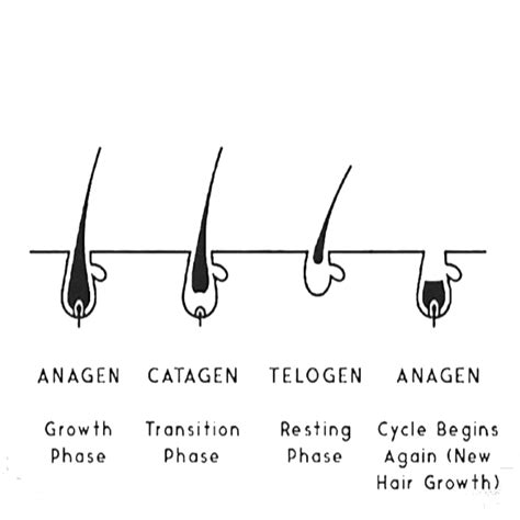 The Guide To The Perfect Wax – Relax & Wax