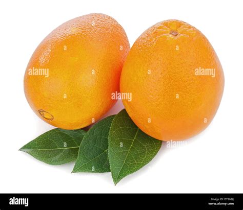 Orange Fruits With Green Leaves Isolated On White Background Closeup