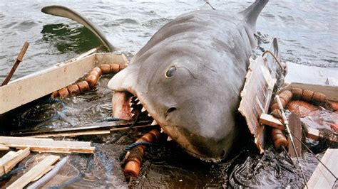 Les Dents De La Mer De Steven Spielberg Culture