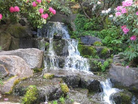 Crystal Springs Rhododendron Garden Map | Fasci Garden