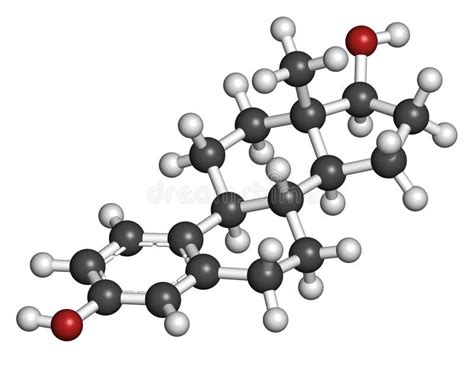 Estradiol Estrogen Female Sex Hormone Molecule Skeletal Formula Stock