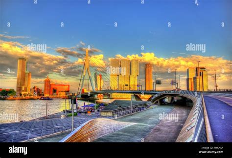 Erasmus Bridge in Rotterdam - Netherlands Stock Photo - Alamy