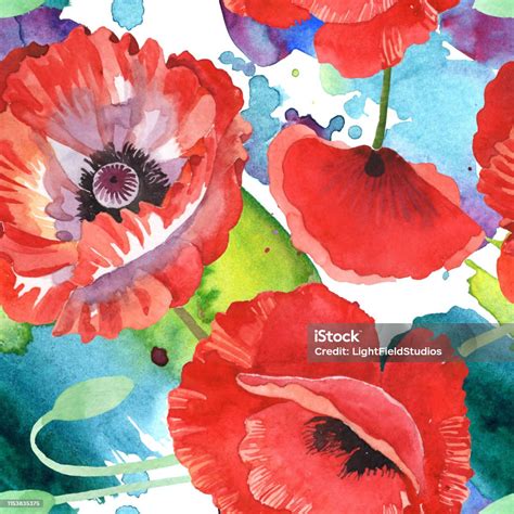 Red Poppy Floral Botanical Flowers Watercolor Background Illustration