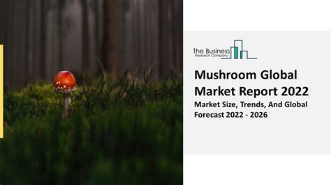 PPT Mushroom Market Analysis Scope Industry Overview 2031