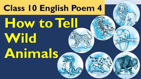 wild animals class  summary explanation question answers