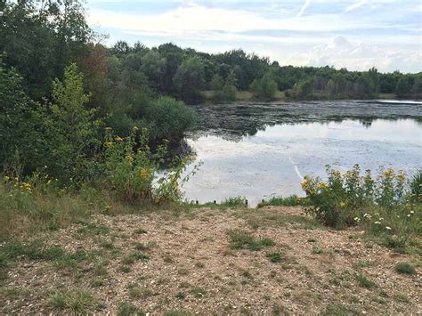 Nacktbaden Am Waldsee Lauer In Leipzig Fkk In Sachsen