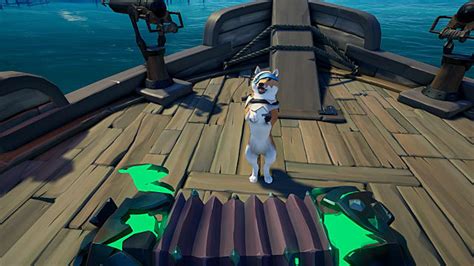 Sea Of Thieves Comment Obtenir Et Utiliser Des Animaux De Compagnie