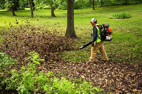 New Echo Pb 9010 Backpack Blower Power Equipment Trade