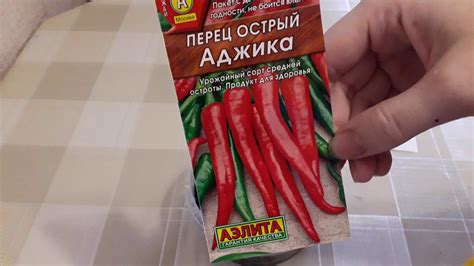 Острый перец "Аджика" - YouTube
