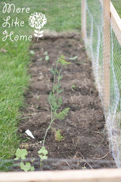 More Like Home 2x4 Garden Fence