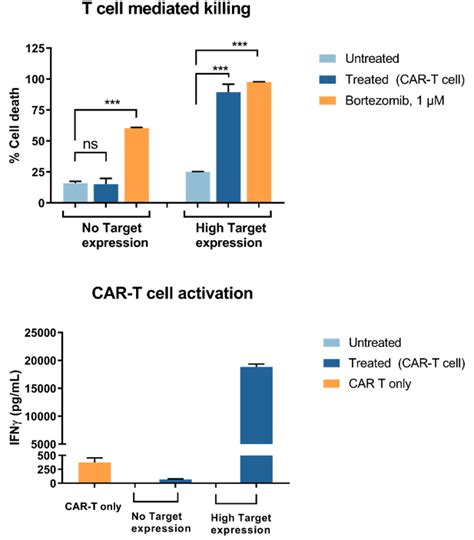 In Vitro Car T Cell Therapy Testing Charles River