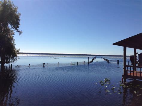 Why Volusia County Mugshots Are Essential for Community Safety 1