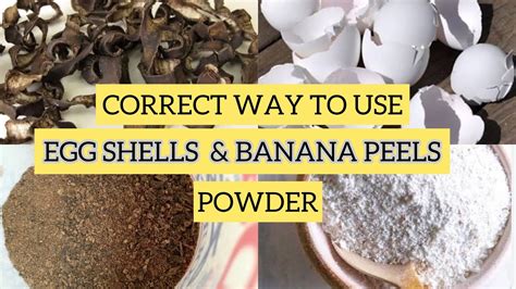 Organic Fertilizerhow To Use Egg Shells And Banana Peel As Fertilizer