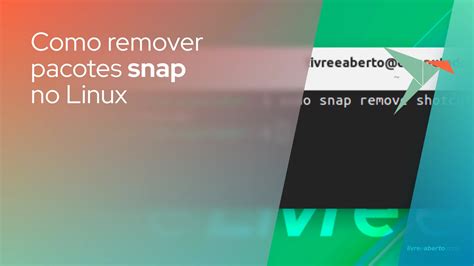 Como Desinstalar Pacotes Snap Do Ubuntu E Outras Distribui Es Linux