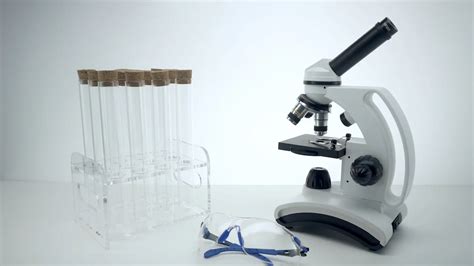 Unleash Efficiency: Hand Decapping Tool Benefits Revealed - Finder Tool