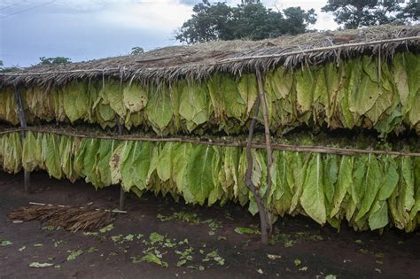 L Histoire Des Paysans Frana Ais 8