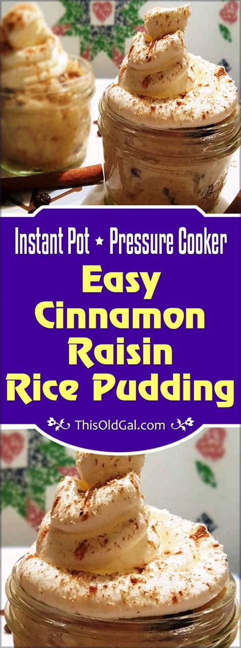 Instant Pot Rice Pudding in Pressure Cooker - This Old Gal