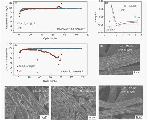 Highly Lithiophilic Ti 3 C 2 T X Mxene Anchored On A Flexible Carbon