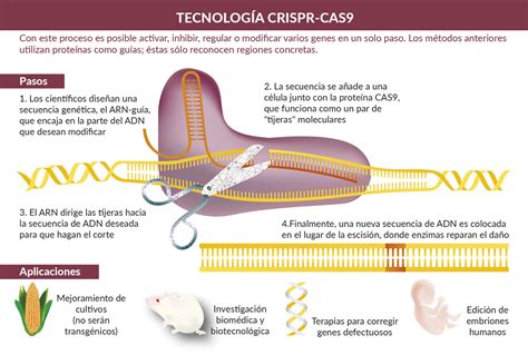 Tecnología CRISPR Cas9 INVDES