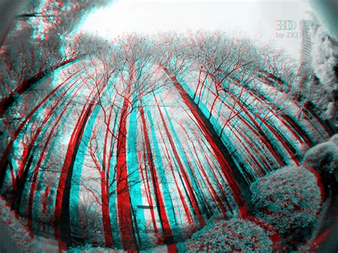 3D anaglyph