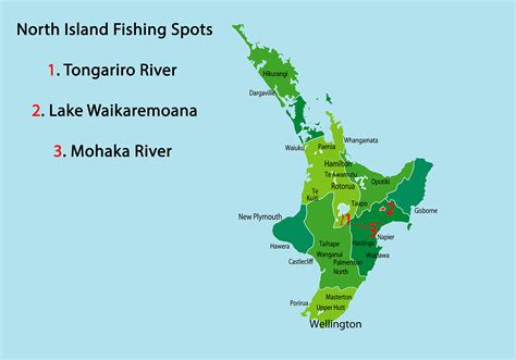 How to Go Fly Fishing in New Zealand: The Complete Guide (Updated 2023)