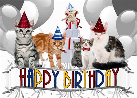 Feliz Cumpleanos Imagenes Gatos