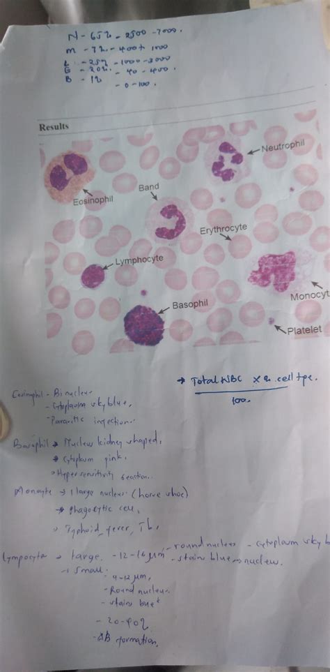 Medical research project – Euphoreden