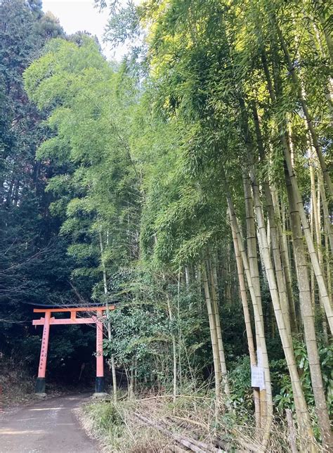 稲荷山・今熊野山・清閑寺山・清水山・東山 ちょびねこさんの京都一周トレイルの活動データ Yamap ヤマップ