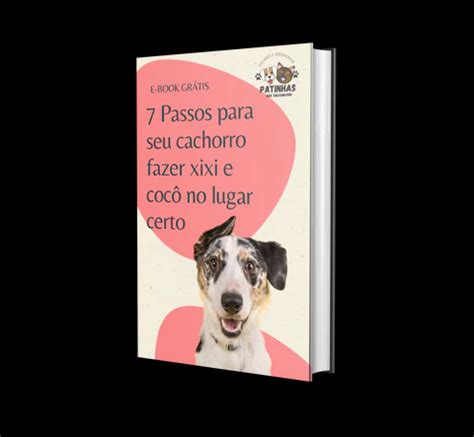 Passos Para Seu Cachorro Fazer As Necessidades No Lugar Certo Bruno