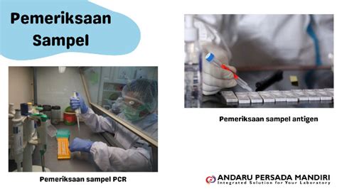 Perbedaan Antigen Dan Pcr Yang Perlu Diketahui Andaru Persada Mandiri