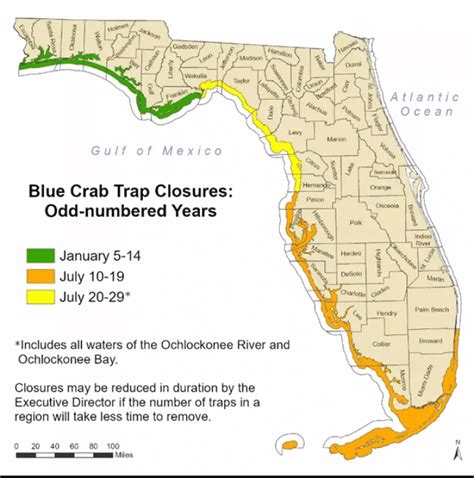 FWC modifies July blue crab trap closure - NatureCoaster.com